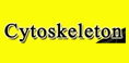 Cytoskeleton